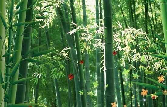 大自然沁人心脾的新鮮空氣，在家也能呼吸到