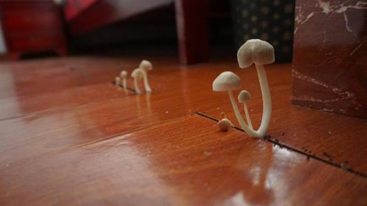 潮濕的地下室對人體有哪些危害？